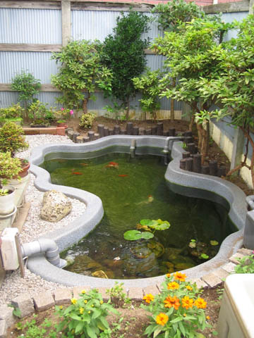 �Ђ傤����r