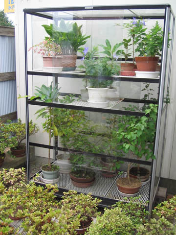 �A���~����