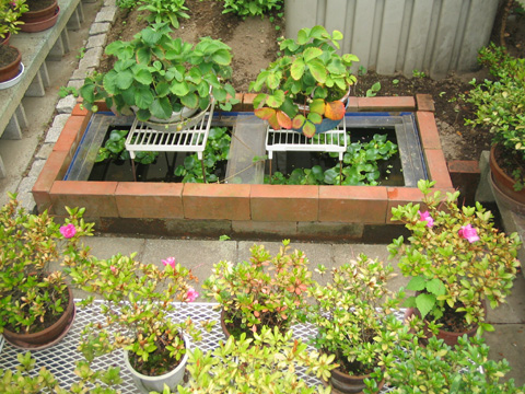 ���_�J�p����