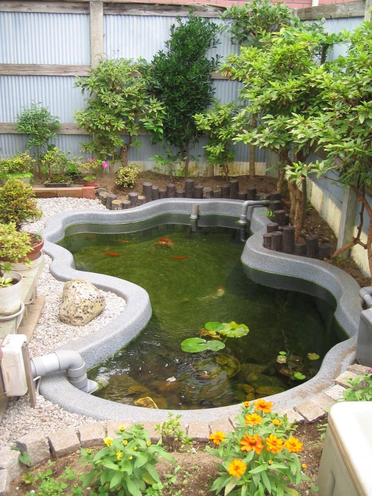 �Ђ傤����r