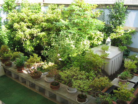 �Ђ傤����r