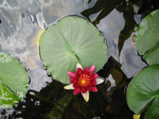 �h�ߑ�����