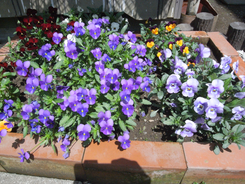 �O�S���R�O��