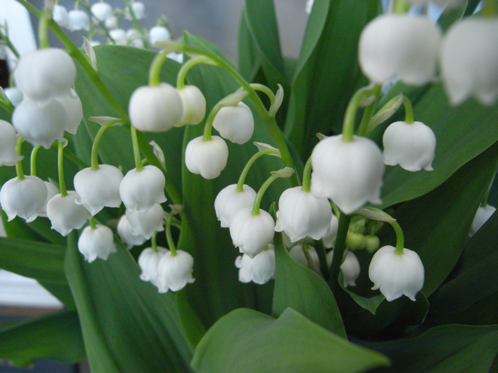 �O�T���O�Q��