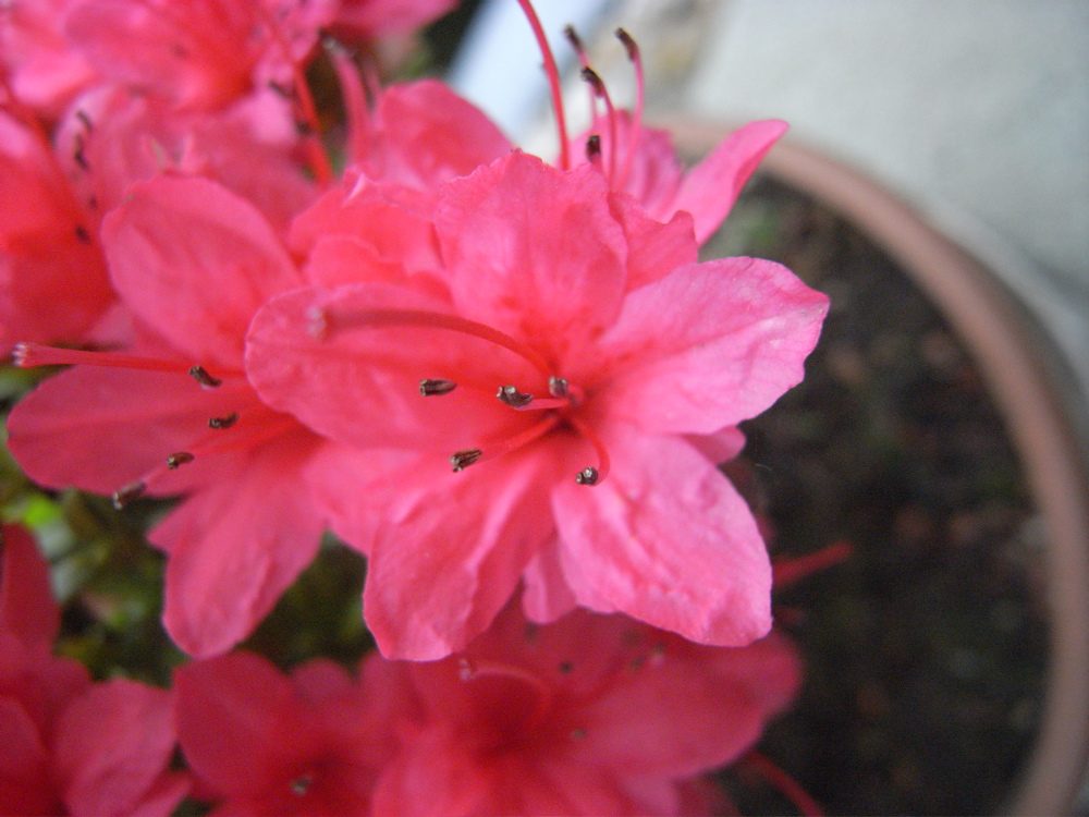 �O�T���P�O��