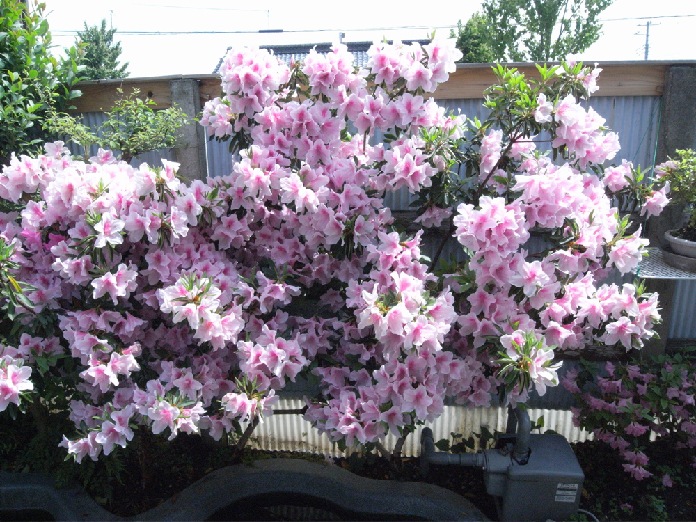 �O�T���P�Q��