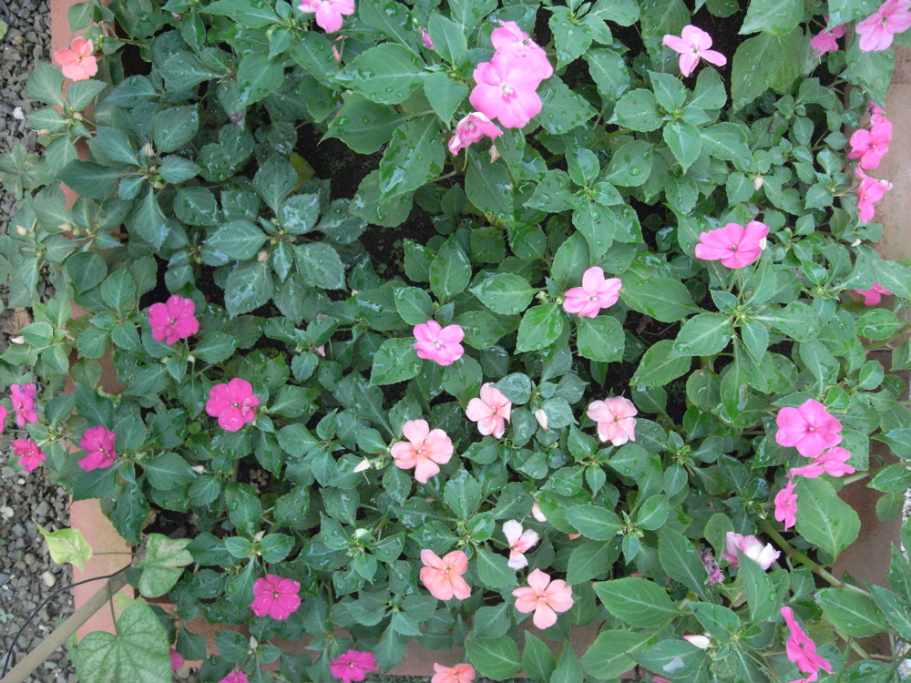 �O�W���O�W��