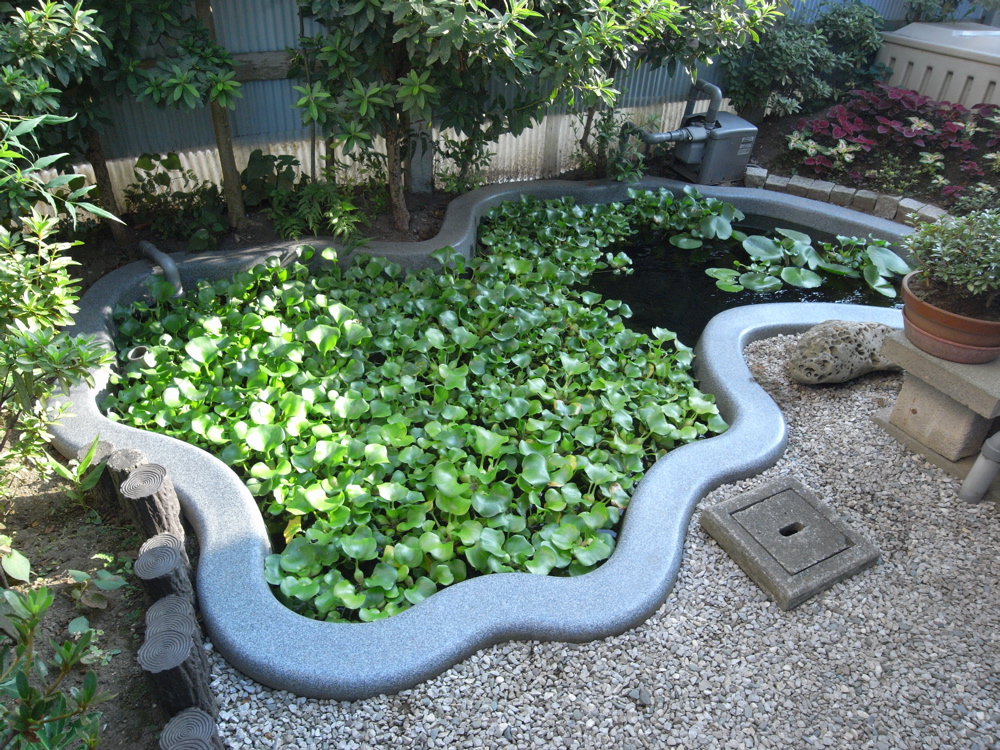 �O�W���Q�P��