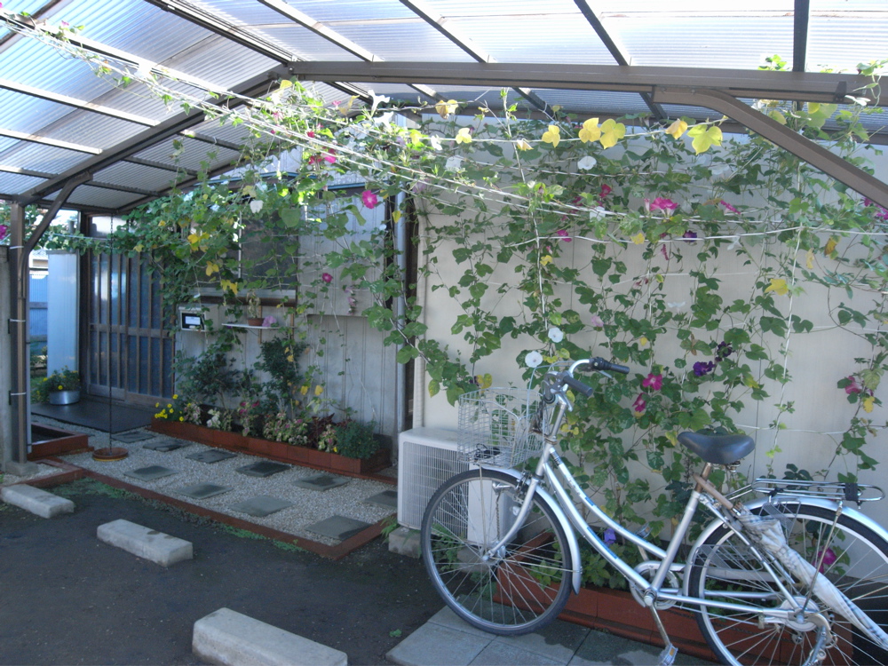 �P�O���O�Q��