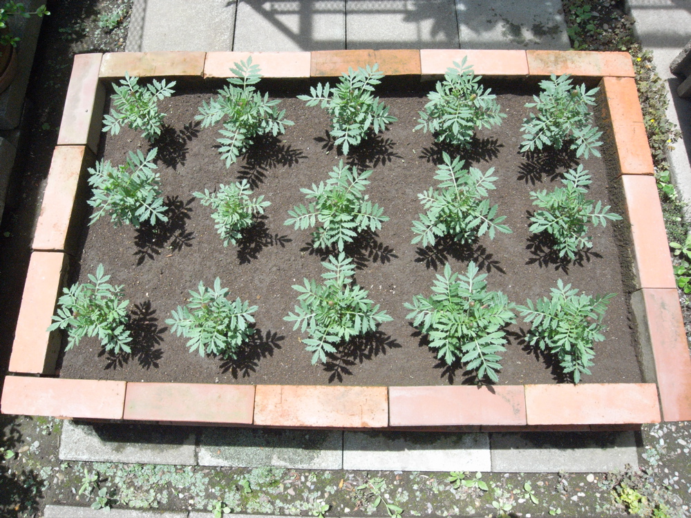 �U���P�T��