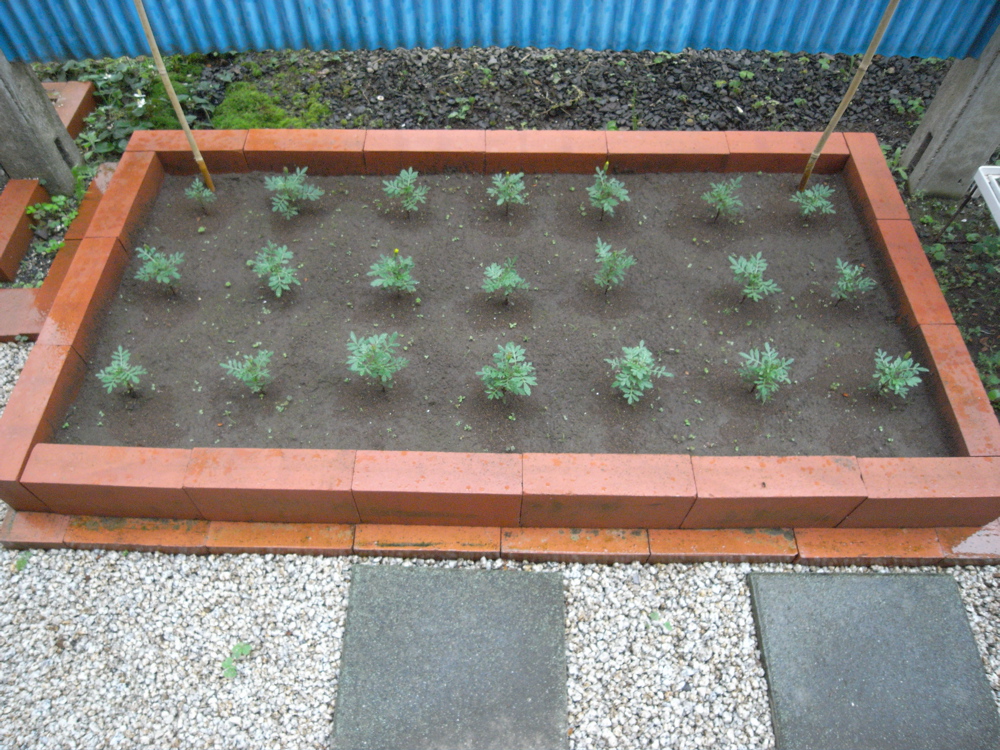 �U���P�W��