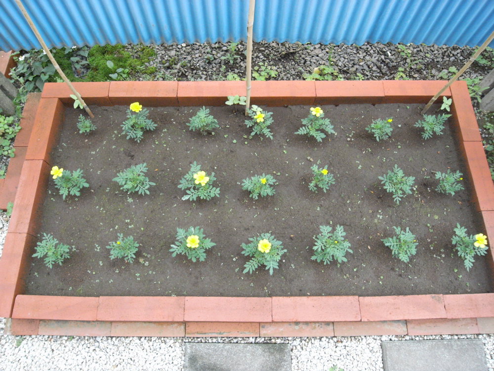 �U���Q�S��