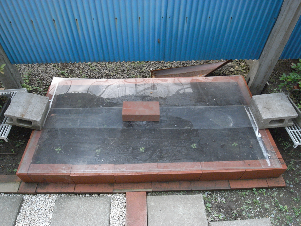 �T���Q�W��