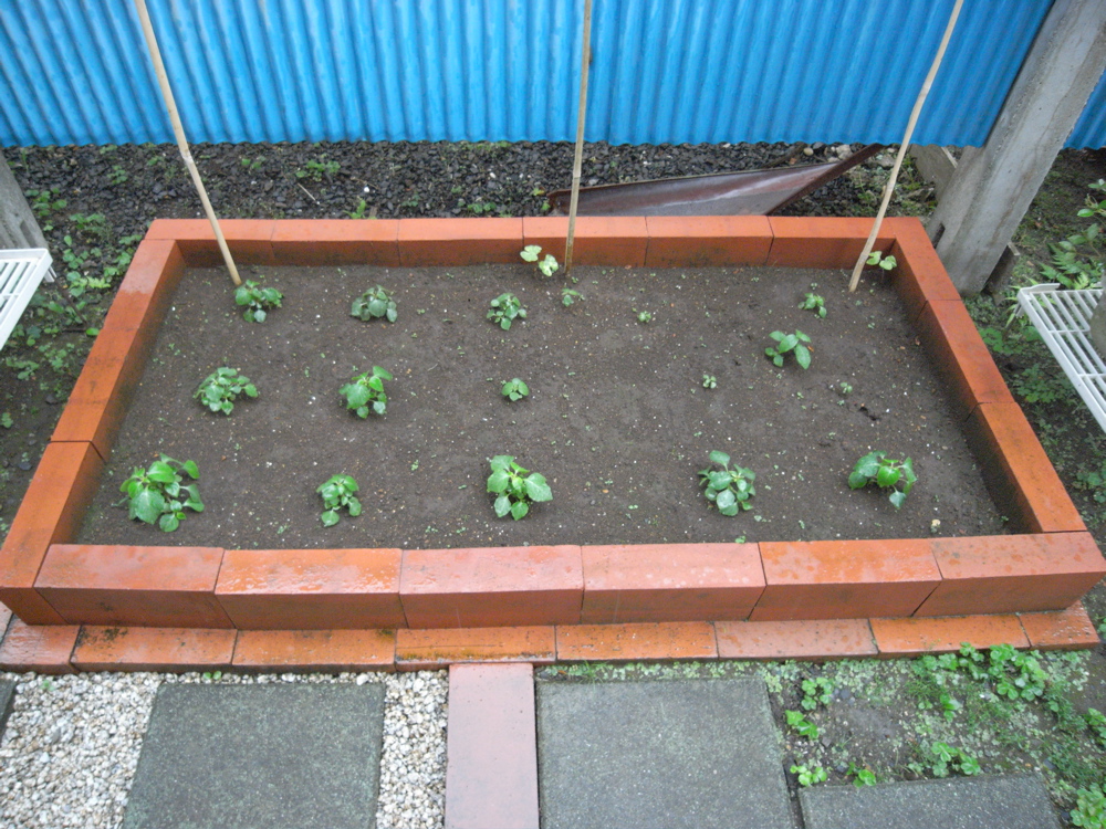 �U���P�W��