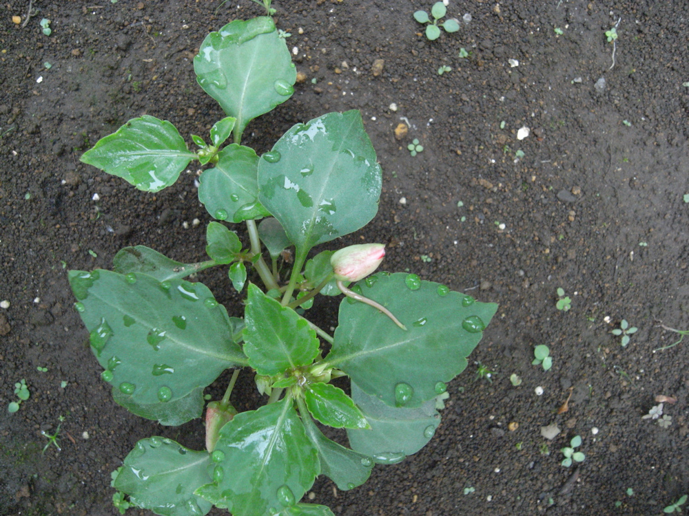 �U���Q�Q��