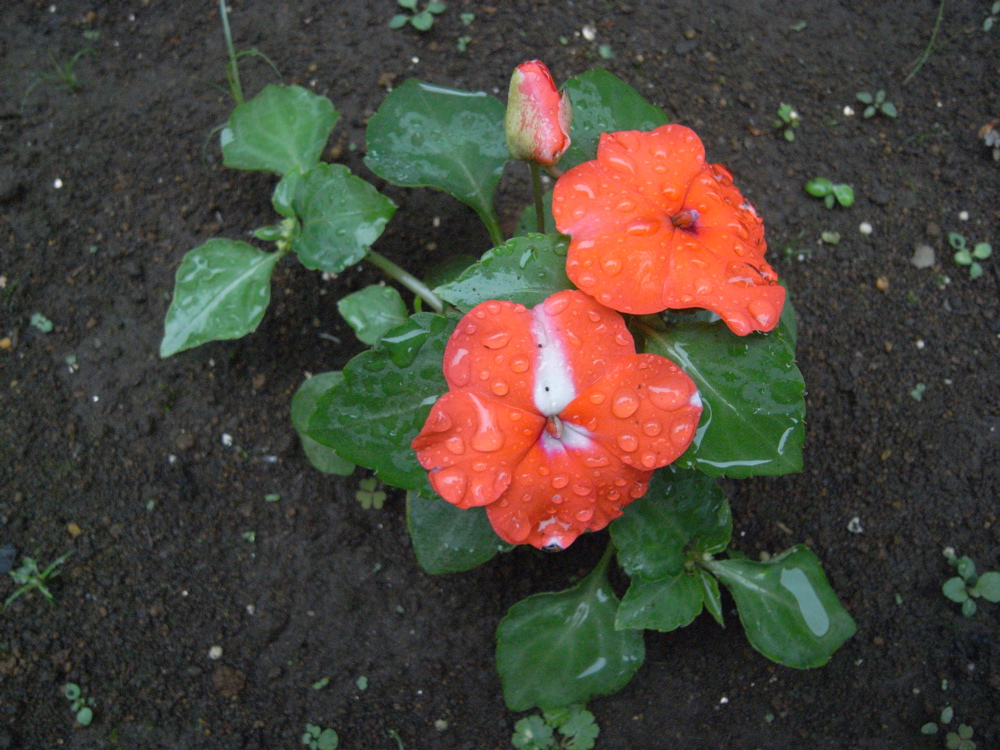 �U���Q�R��