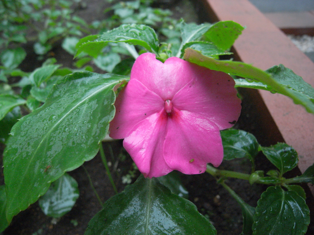 �U���R�O��