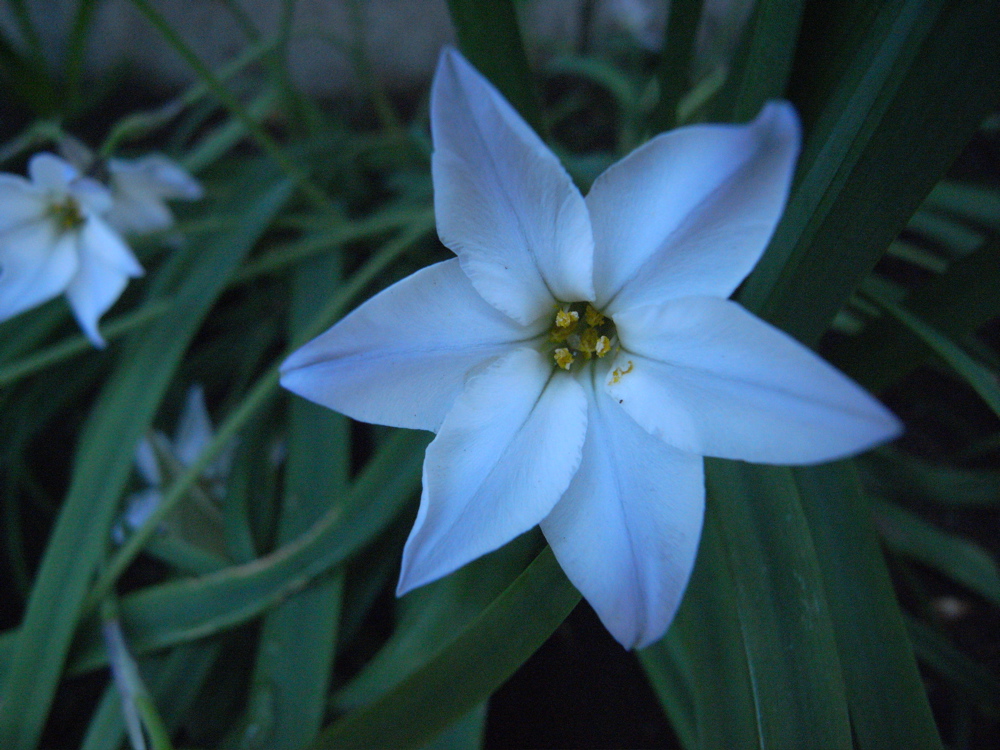 �q�K���o�i