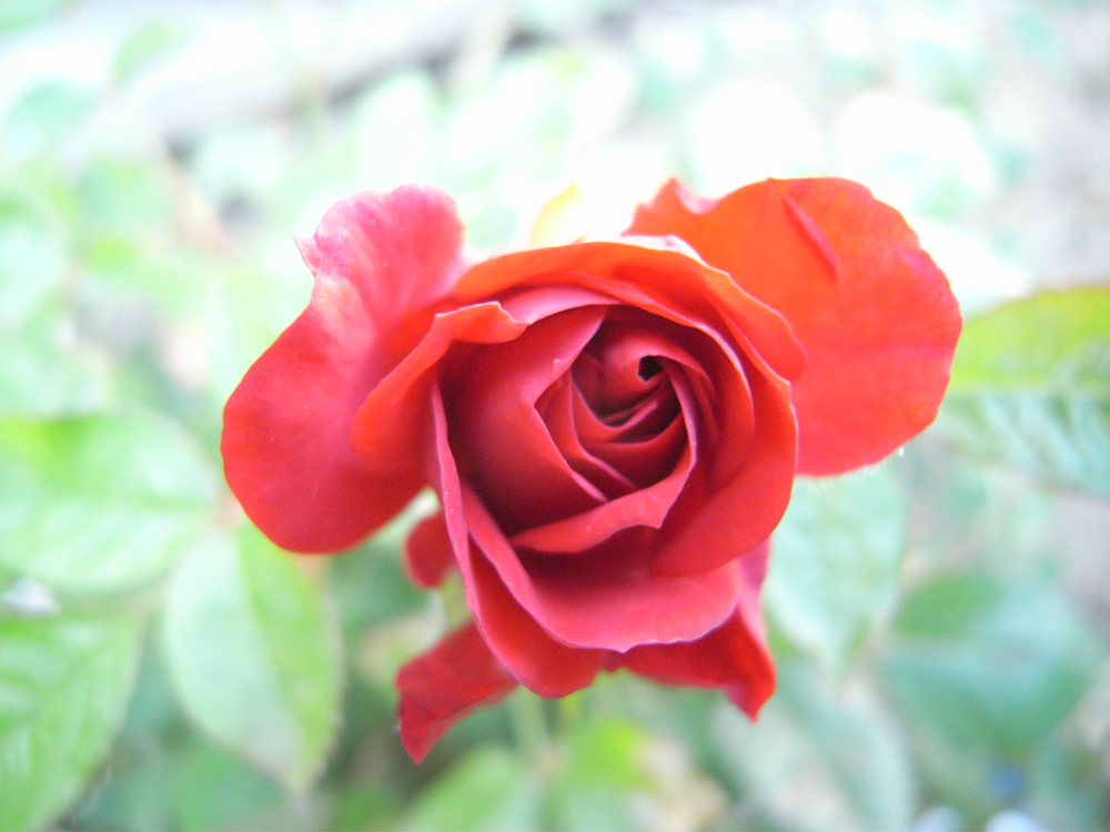 �T���Q�P��