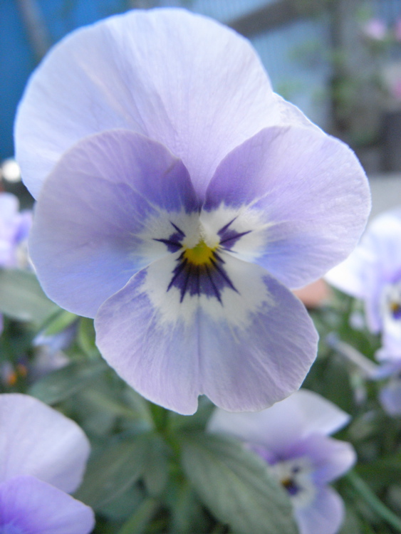 �T���P�R��