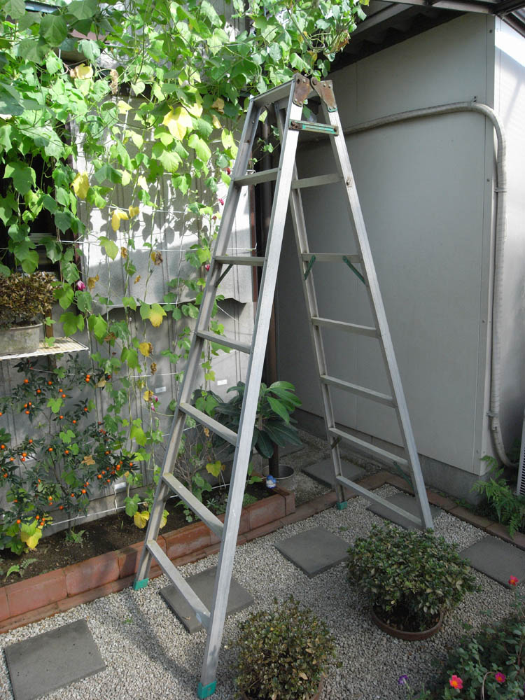 �r��������