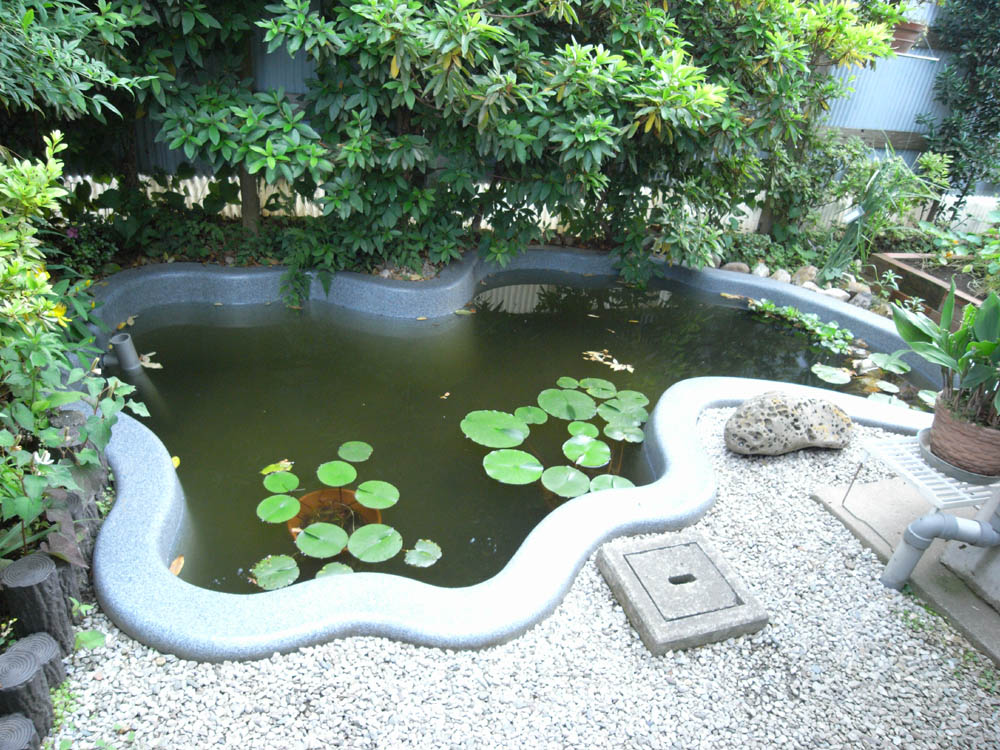 �Ђ傤����r