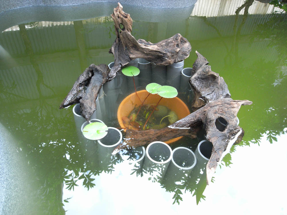 ���؎~�܂��