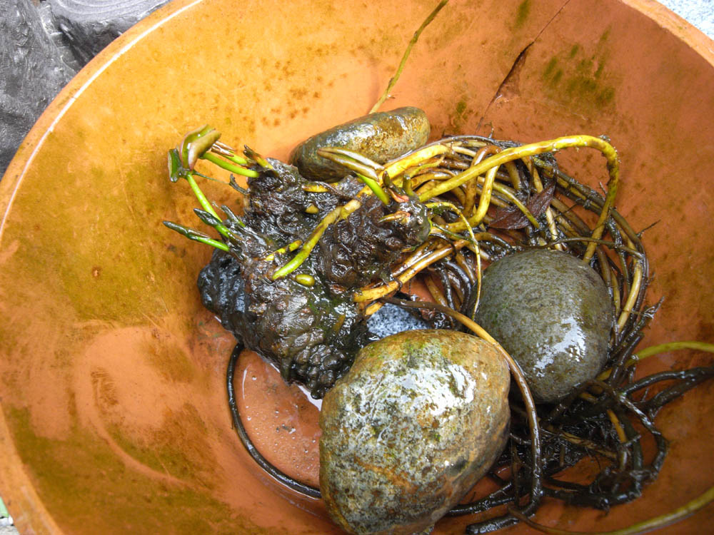 ���@�i�������j