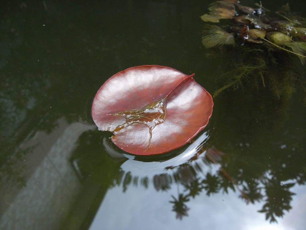 ���@�i�t����j