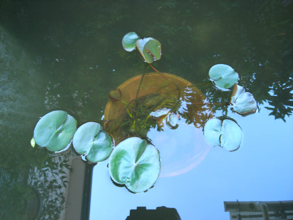 ���@�i�����t�j