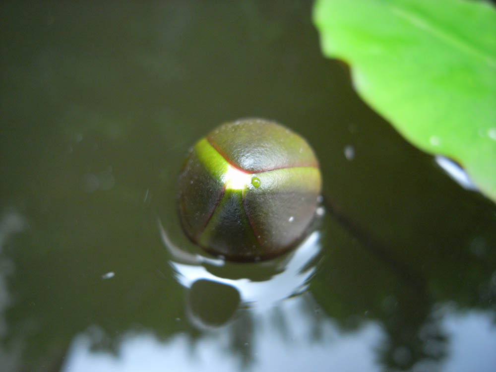 ���@�i�J�ԂP�j