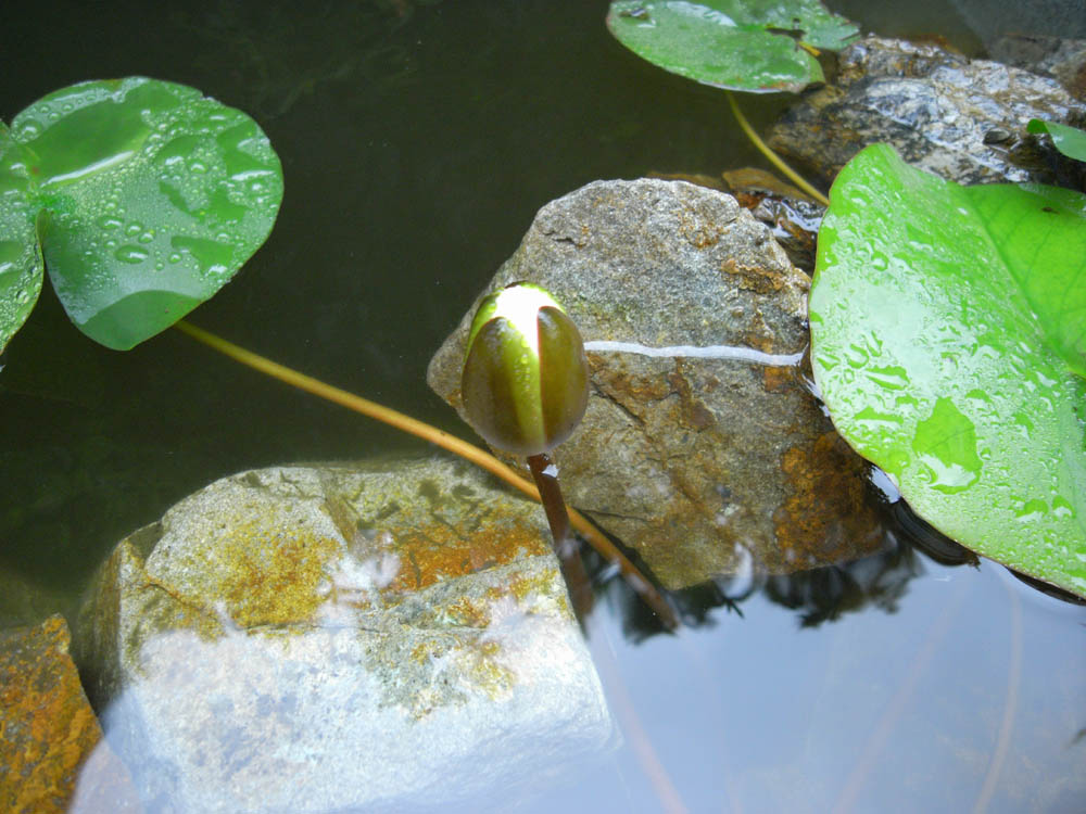 ���@�i�J�ԂQ�j