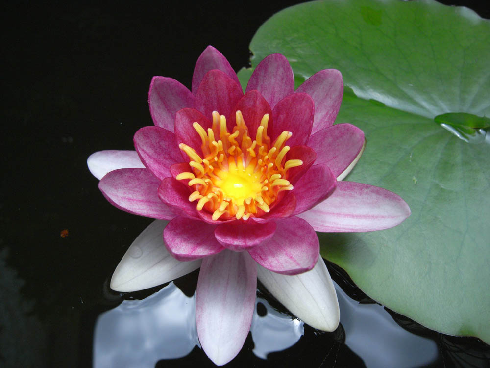 ���@�i�J�ԂU�j