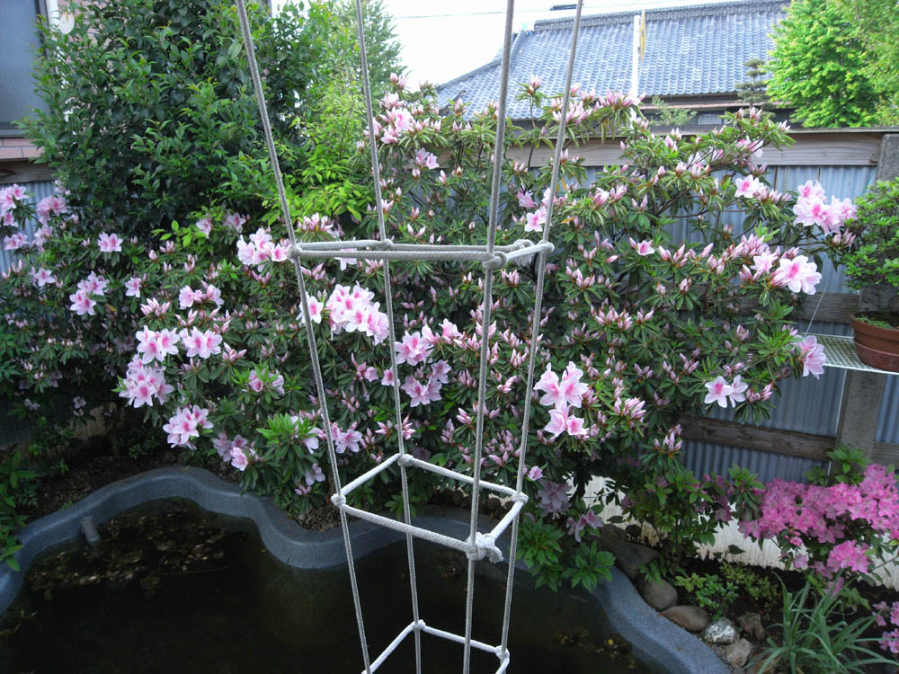 �J�Ԃ��̂R�Q