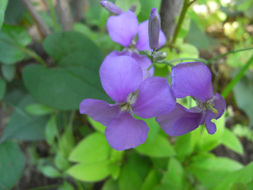 �i���̕s���O�P�j