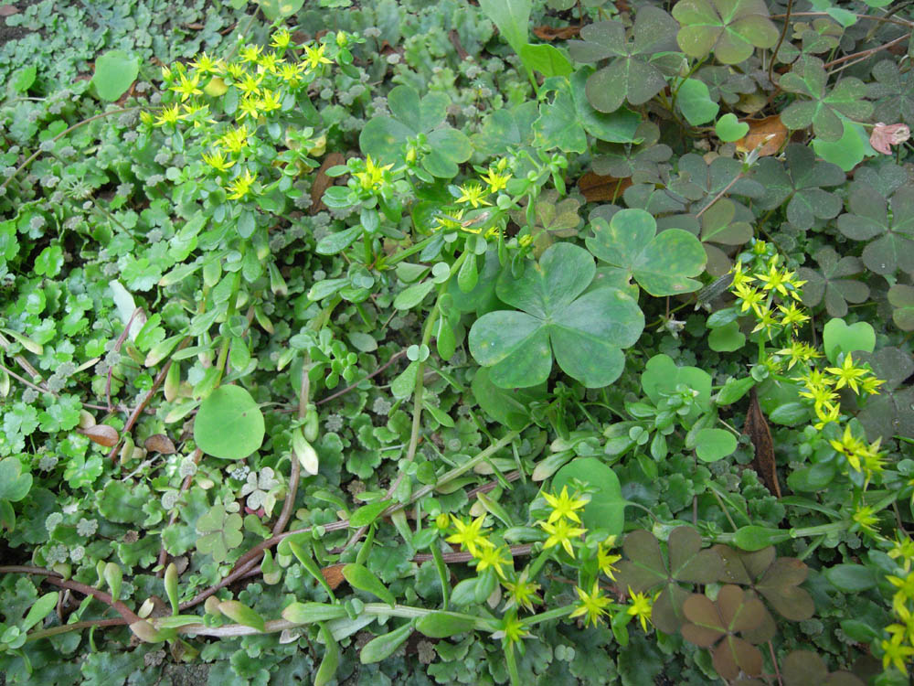 �i���̕s���O�Q�j