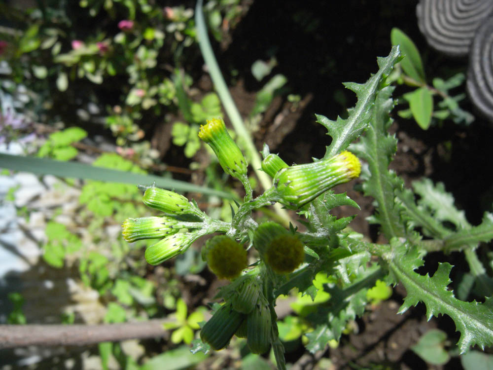 �i���̕s���O�S�j