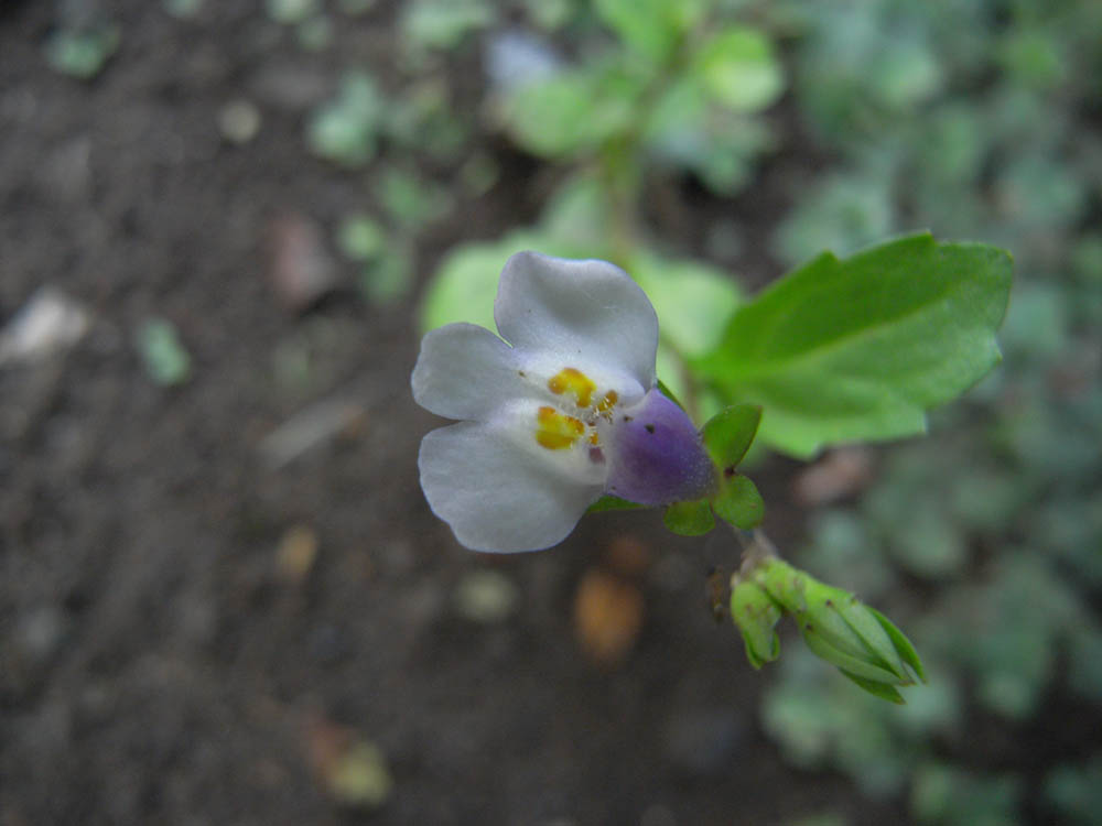 �i���̕s���O�T�j