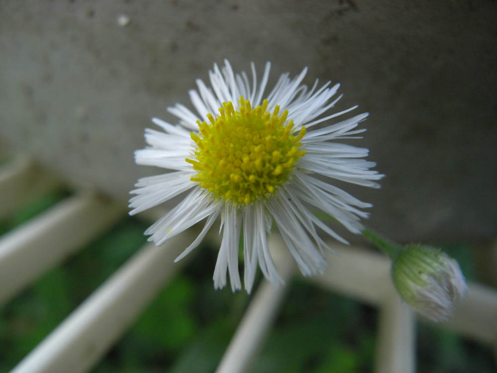 �i���̕s���O�U�j