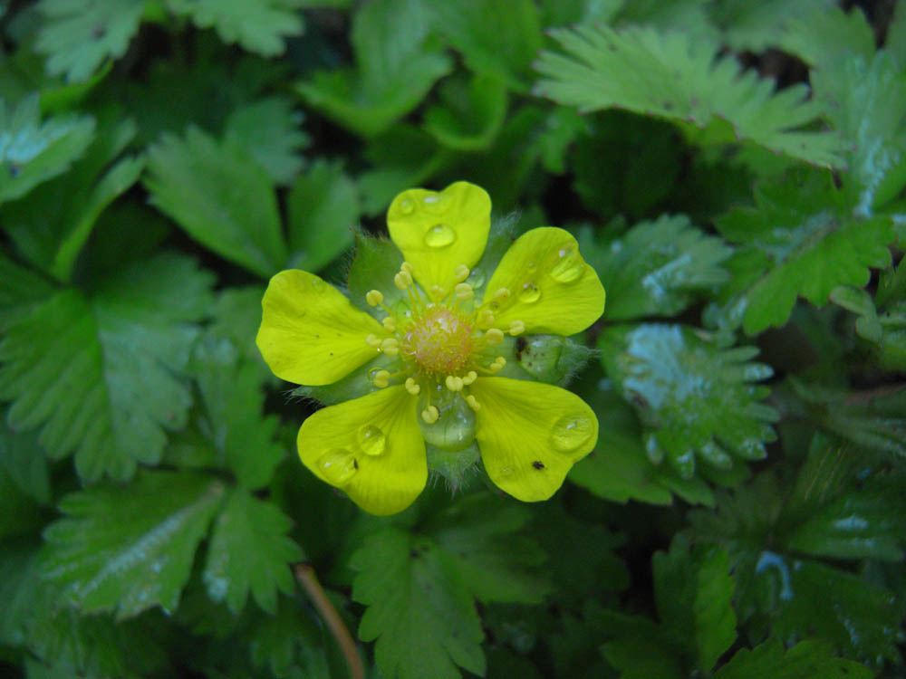 �i���̕s���O�V�j