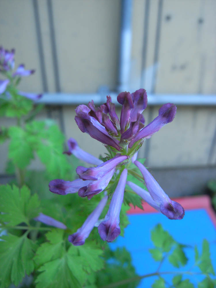 �i���̕s���O�W�j