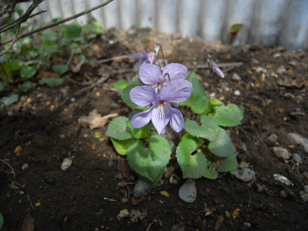 �i���̕s���O�X�j