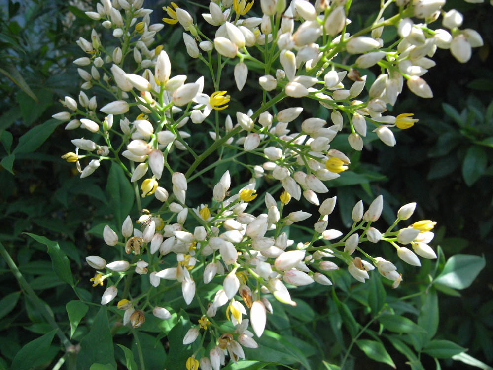 �i���̕s���P�O�j