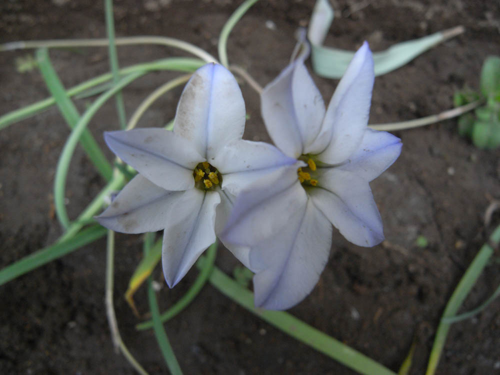 �i���̕s���P�P�j