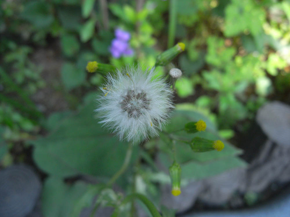 �i���̕s���P�Q�j