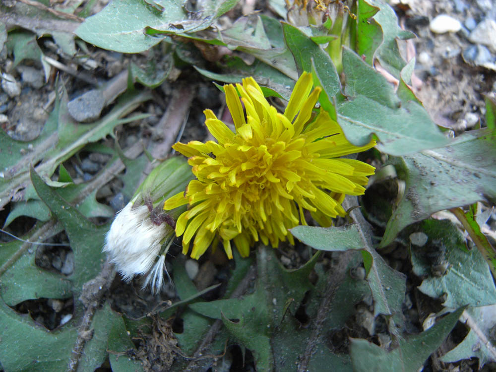 �i���̕s���P�S�j