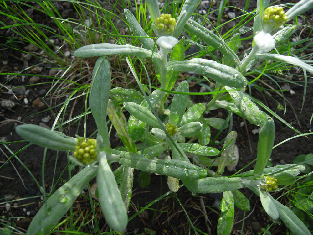 �i���̕s���P�R�j