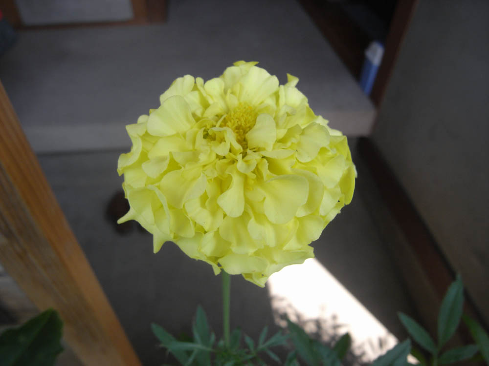 �T���Q�T��