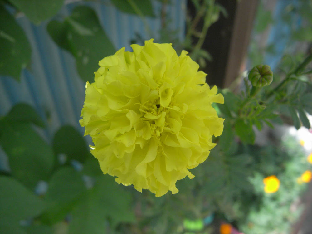 �U���O�R��