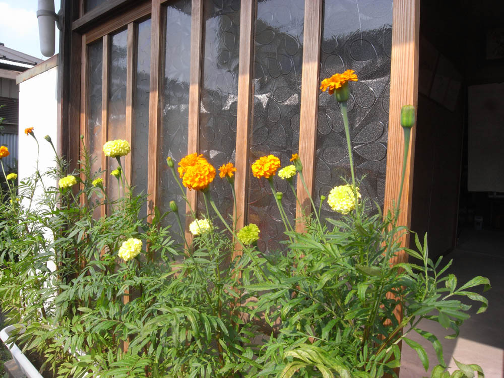 �U���Q�W��